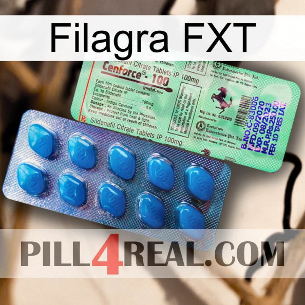 Filagra FXT new02.jpg